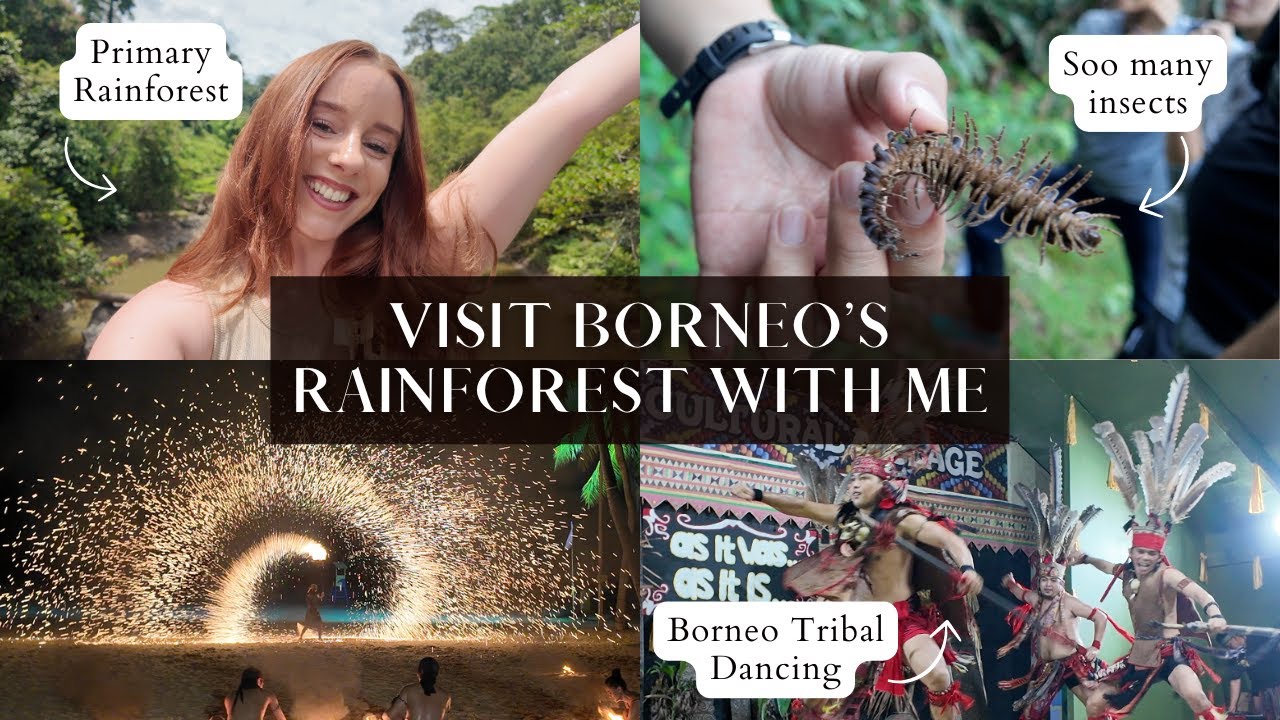 Into the Heart of Borneo | Jungle Adventures in Danum Valley and Exploring Kota Kinabalu | Sabah 🇲🇾
