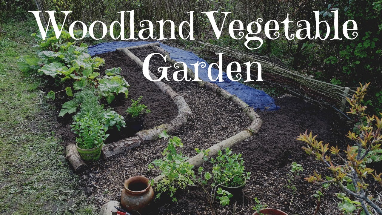 My Woodland Vegetable Garden