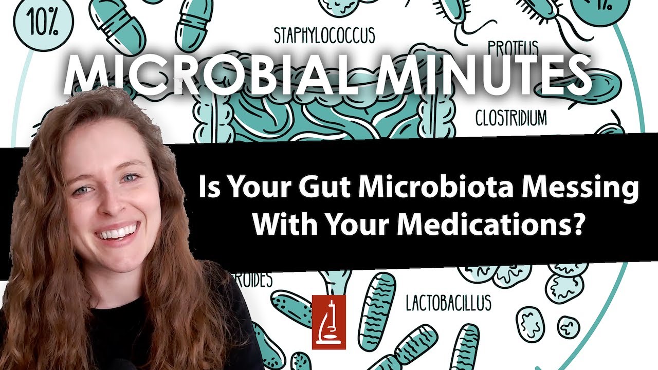 How The Gut Microbiota Interacts With Medications