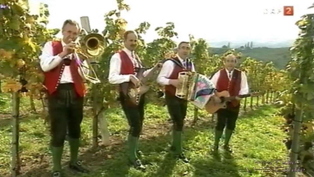 Die Stoakogler - Gott sei Dank seid's alle da - 2000