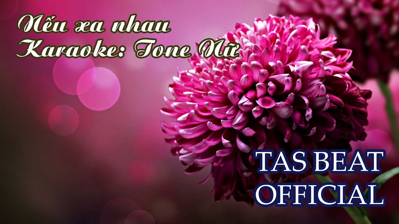Karaoke Nếu xa nhau - Tone Nữ | TAS BEAT