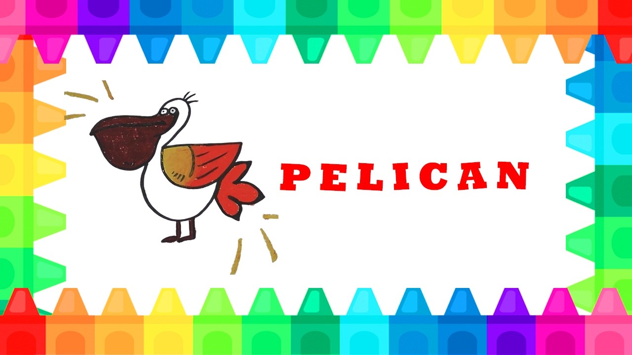 FUN DRAWING  - PELICAN  SIMPLE DRAWING AND COLORING FOR KIDS