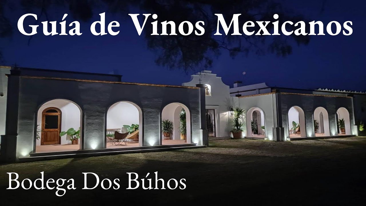 Bodega Dos Búhos, San Miguel de Allende.