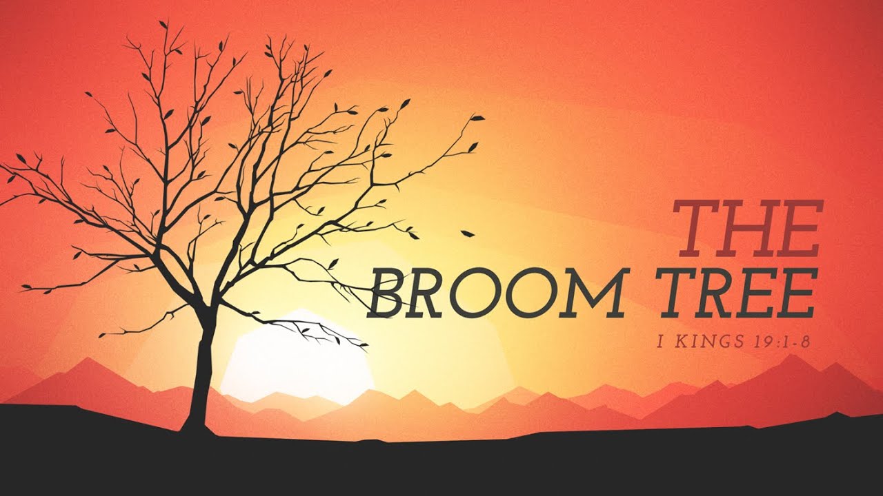The Broom Tree - Sermon - November 19, 2023