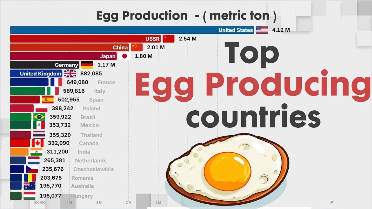 LARGEST EGG PRODUCING COUNTRIES IN THE  WORLD