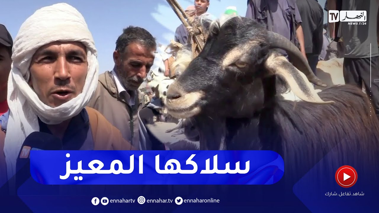 غليزان :