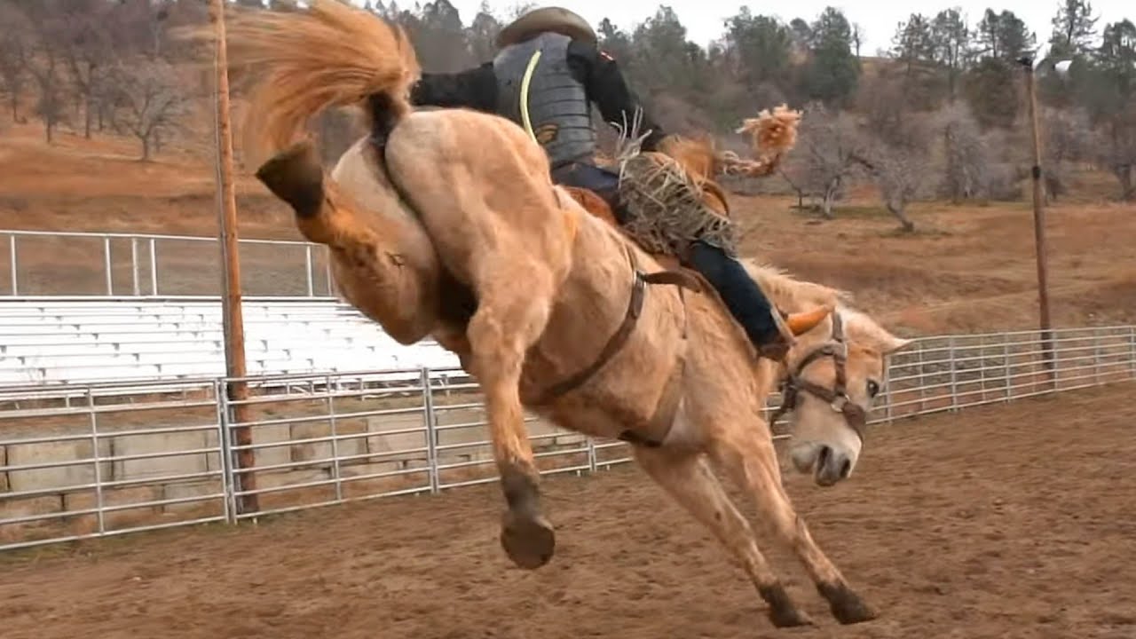 2020 Bronc Riding | Veater Ranch Ep 1
