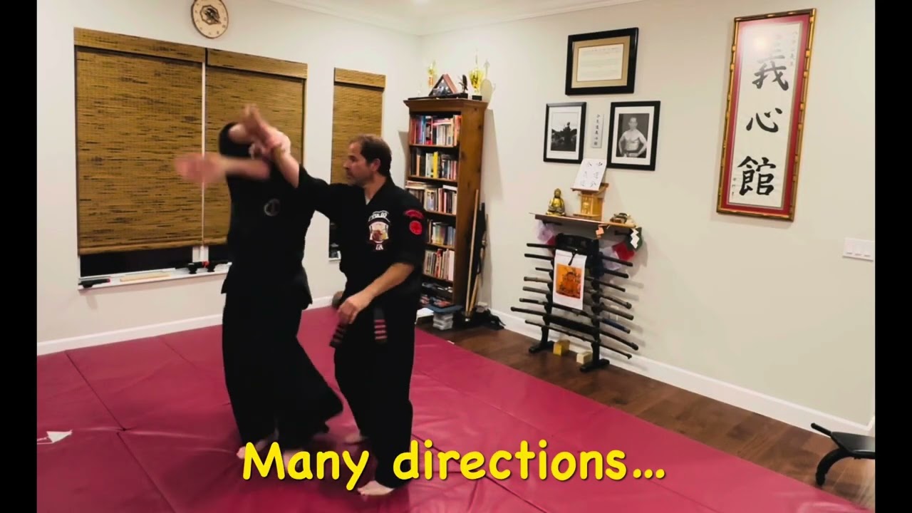 Highlights Video for A History of Aikido…