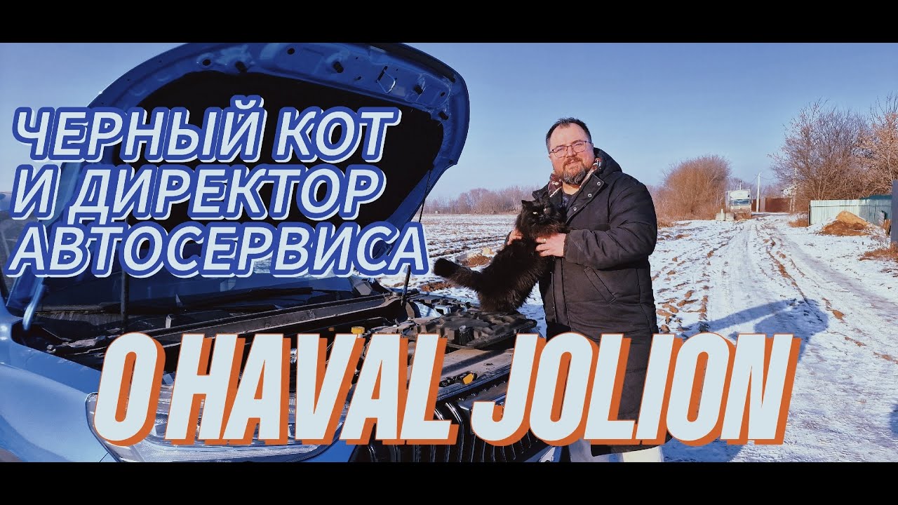 Директор автосервиса о Haval Jolion. Косяки, болячки и черный кот.