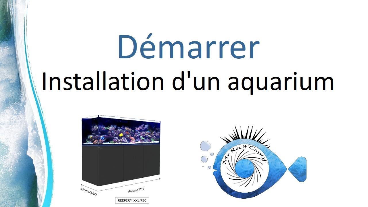 Mettre en place et démarrage d'un aquarium marin Red sea 750 XL Deluxe- Mr Recif Captif #211