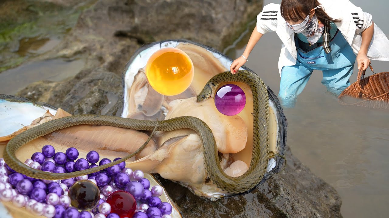 😱 Pearls in the Current: How a Girl’s Bravery Turned a River Clam’s Wrath into a Windfall