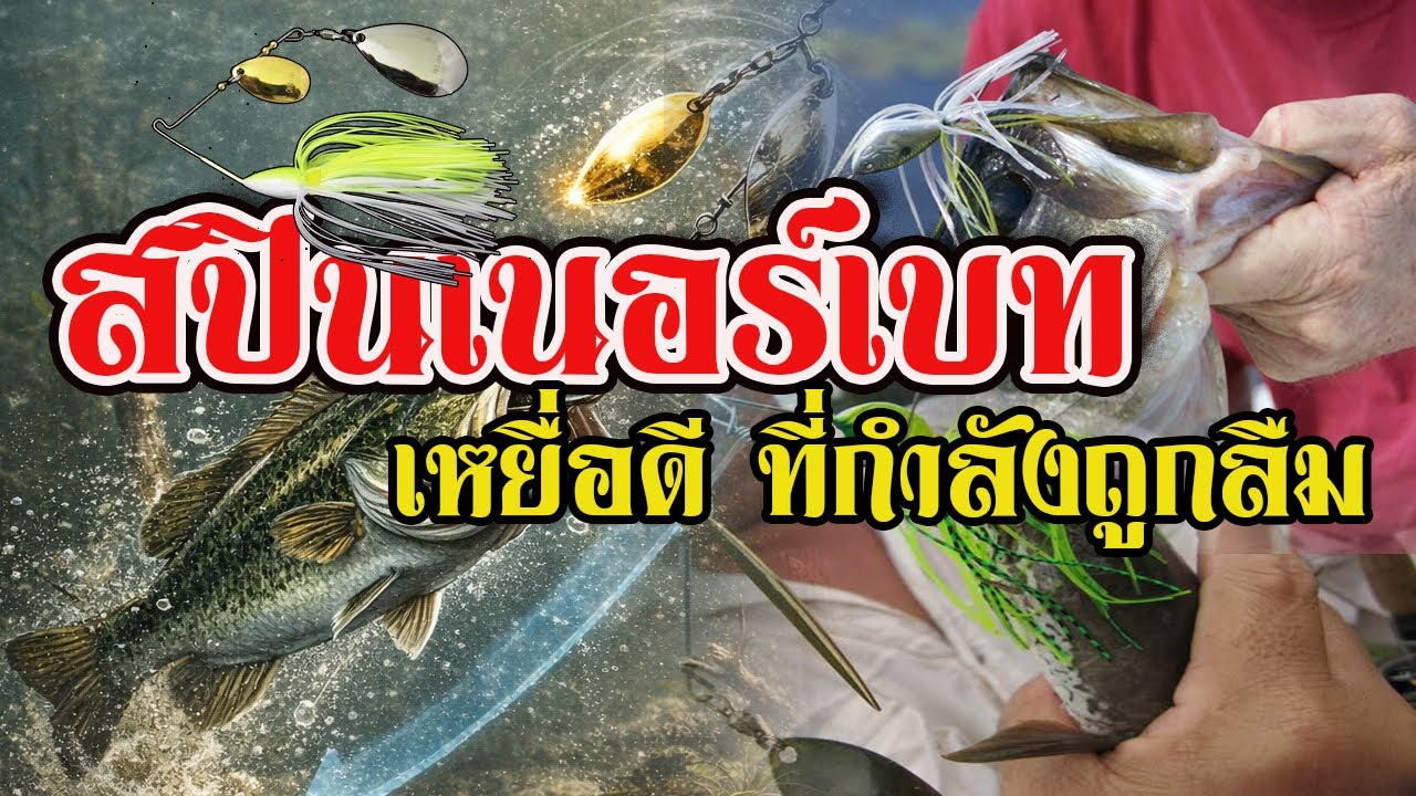 สปินเนอร์เบท | เหยื่อดี ที่กำลังถูกลืม |