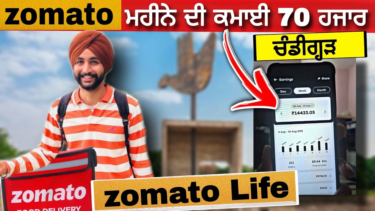 Zomato delivery boy job in chandighar how to work in zomato delivery job zamoto delivery boy life 