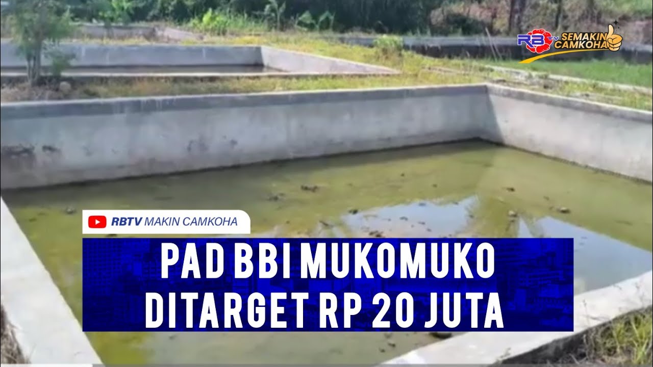 Dinas Perikanan Pasang Target PAD Rp 20 Juta