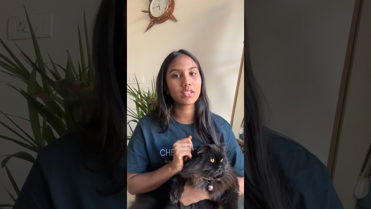 Hair loss in cats 😱🐈&zwj;⬛ #cat #youtubeshorts #chloe #catlover #feline