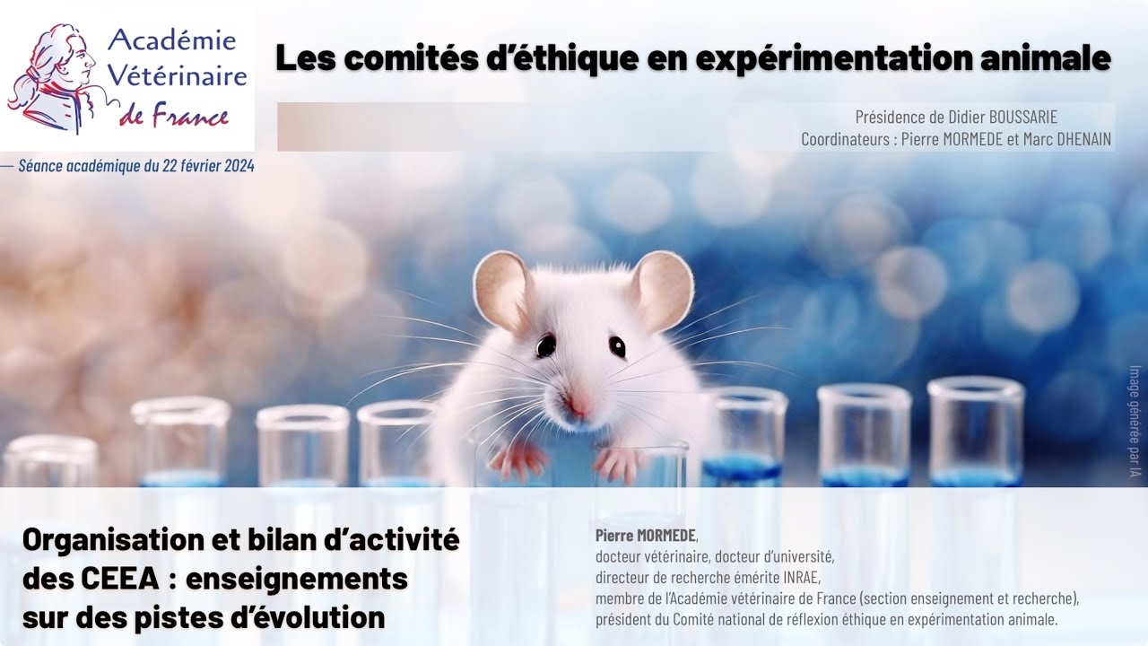 Organisation et bilan d'activité des CEEA : enseignements sur des pistes d'évolution.