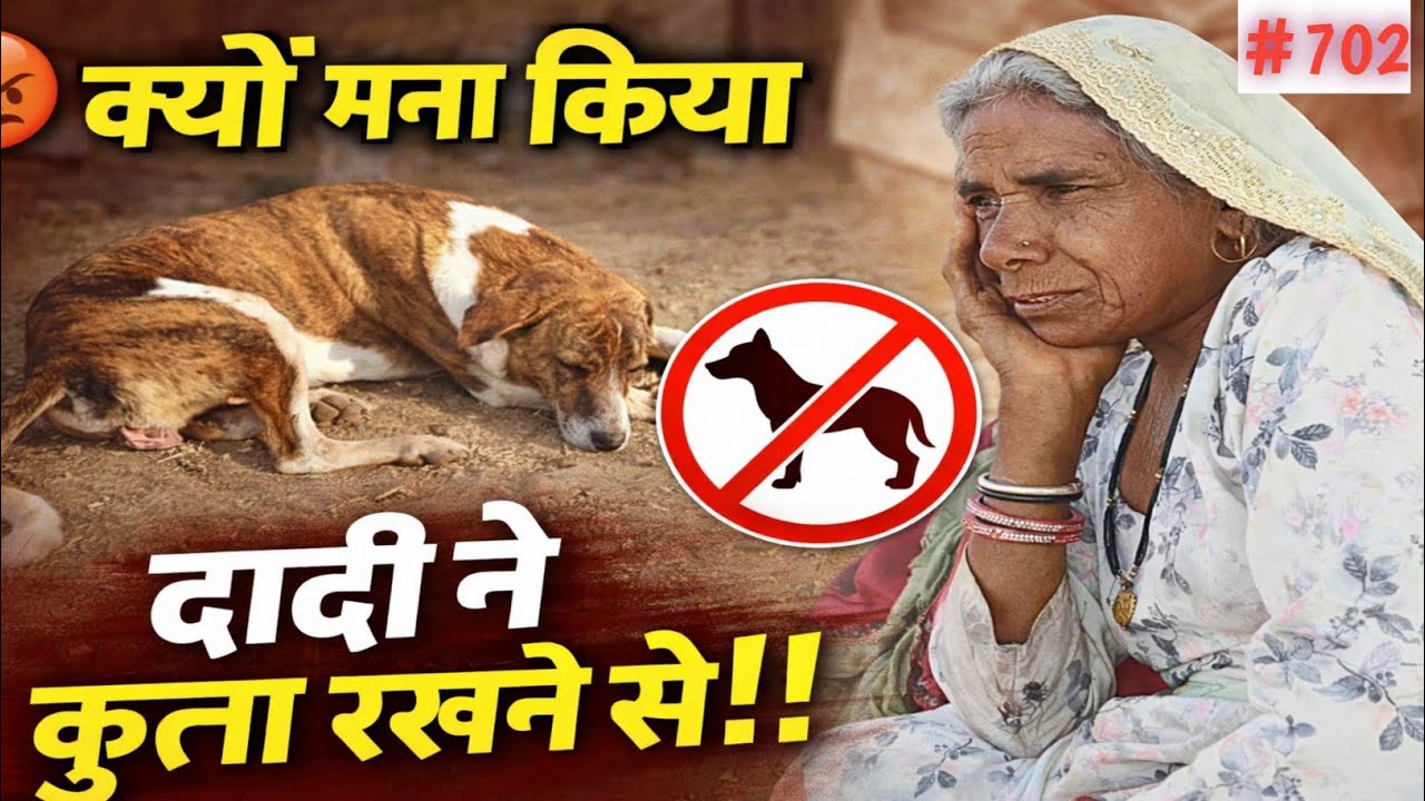 Dog Ko Rakhne Se Kiya Inkar 😳 || Kyu Mna Kiya ? || #702
