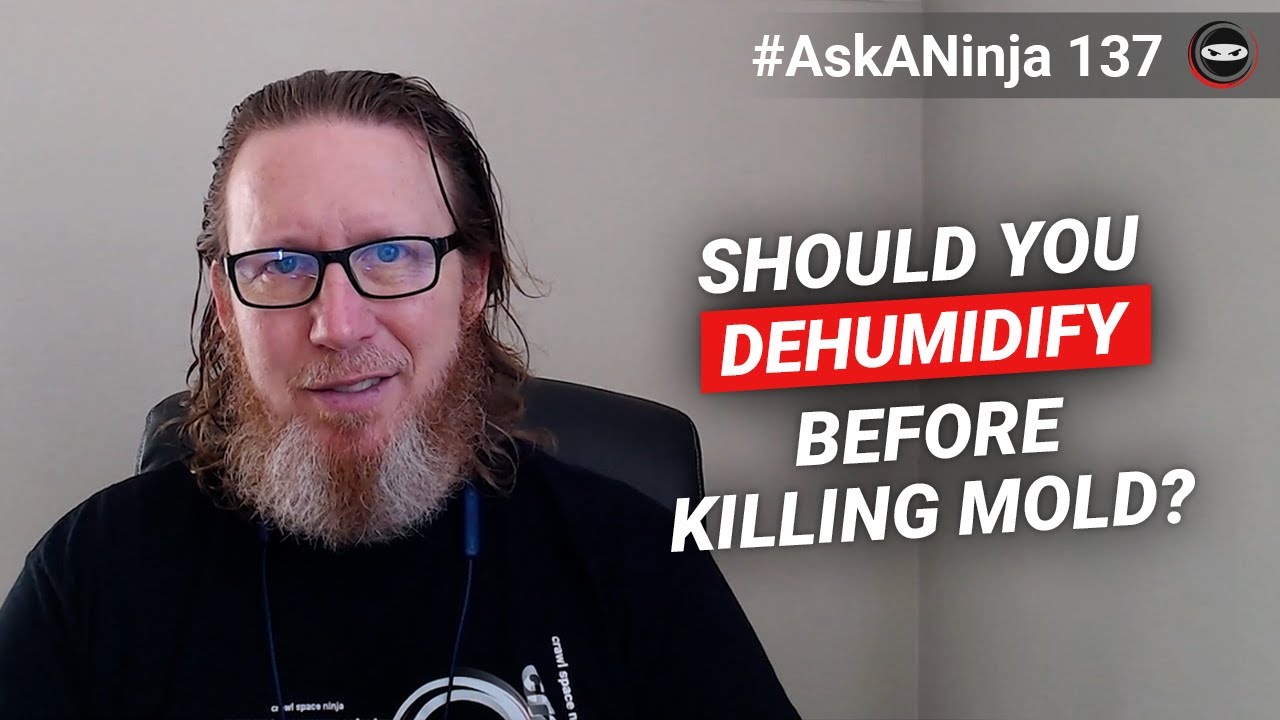 Should I Dehumidify Before Killing Mold? | Crawl Space Mold Removal