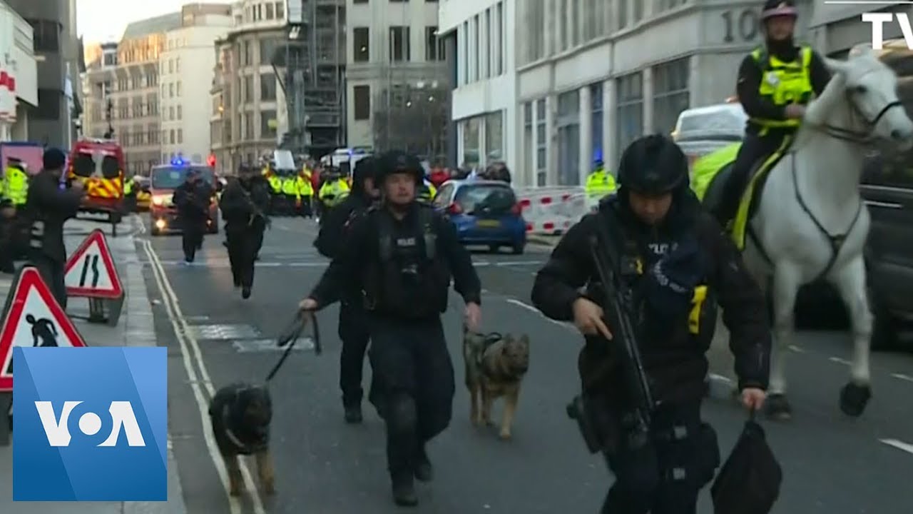 Officers and Police Dogs at London Bridge After Stabbing