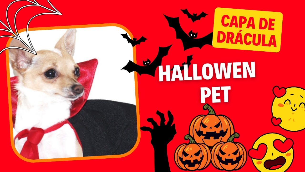 Capa Do Drácula Pet [Halloween]👻🎃
