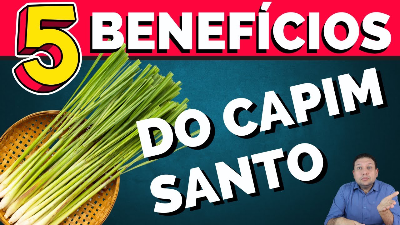 5 BENEF&Iacute;CIOS DO CAPIM SANTO, ERVA CIDREIRA, CAPIM LIM&Atilde;O.