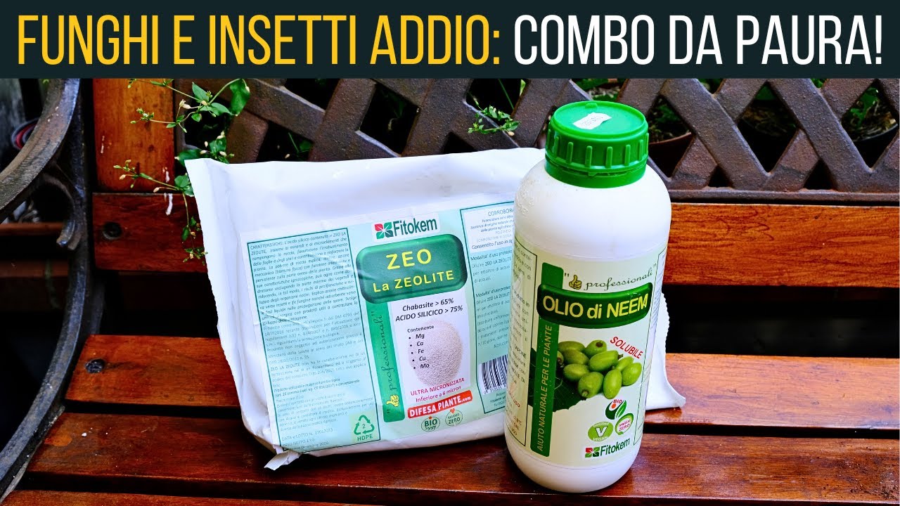 Olio di Neem e Zeolite 🦠 La Combo Vincente per Sconfiggere Insetti e Funghi 🐛🍄