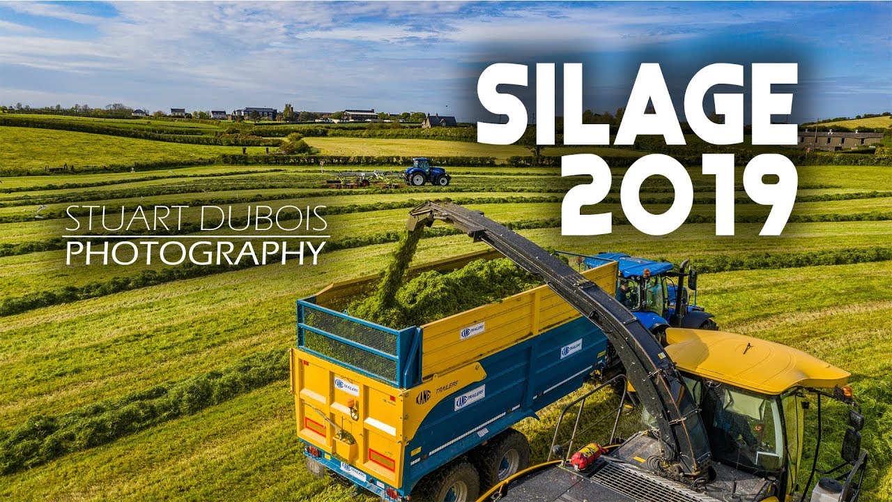 IM BACK! - Silage 2019 - J.A. Angus