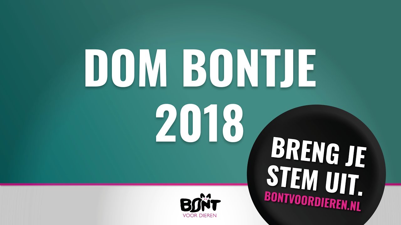 Dom Bontje 2018 | Breng nu je stem uit!