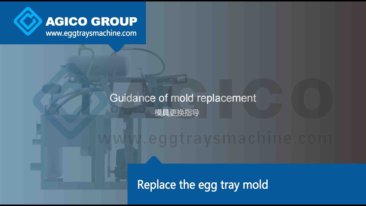 Replace the egg tray mold