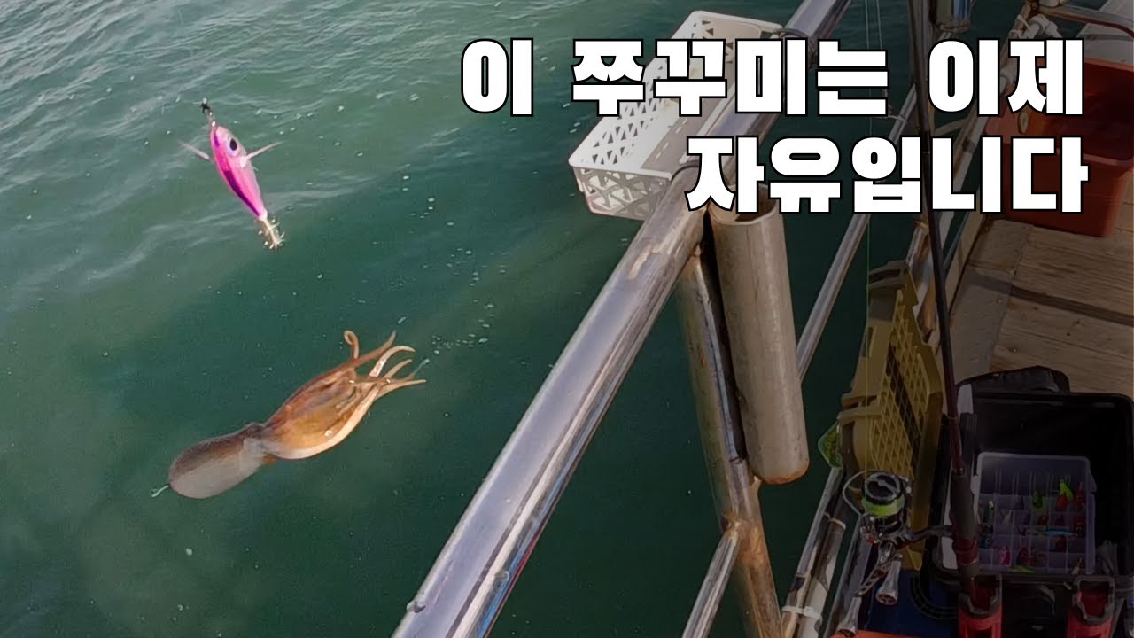 금어기 시작한지 한달이나 됐는데 편집 안 하고 뭐했냐