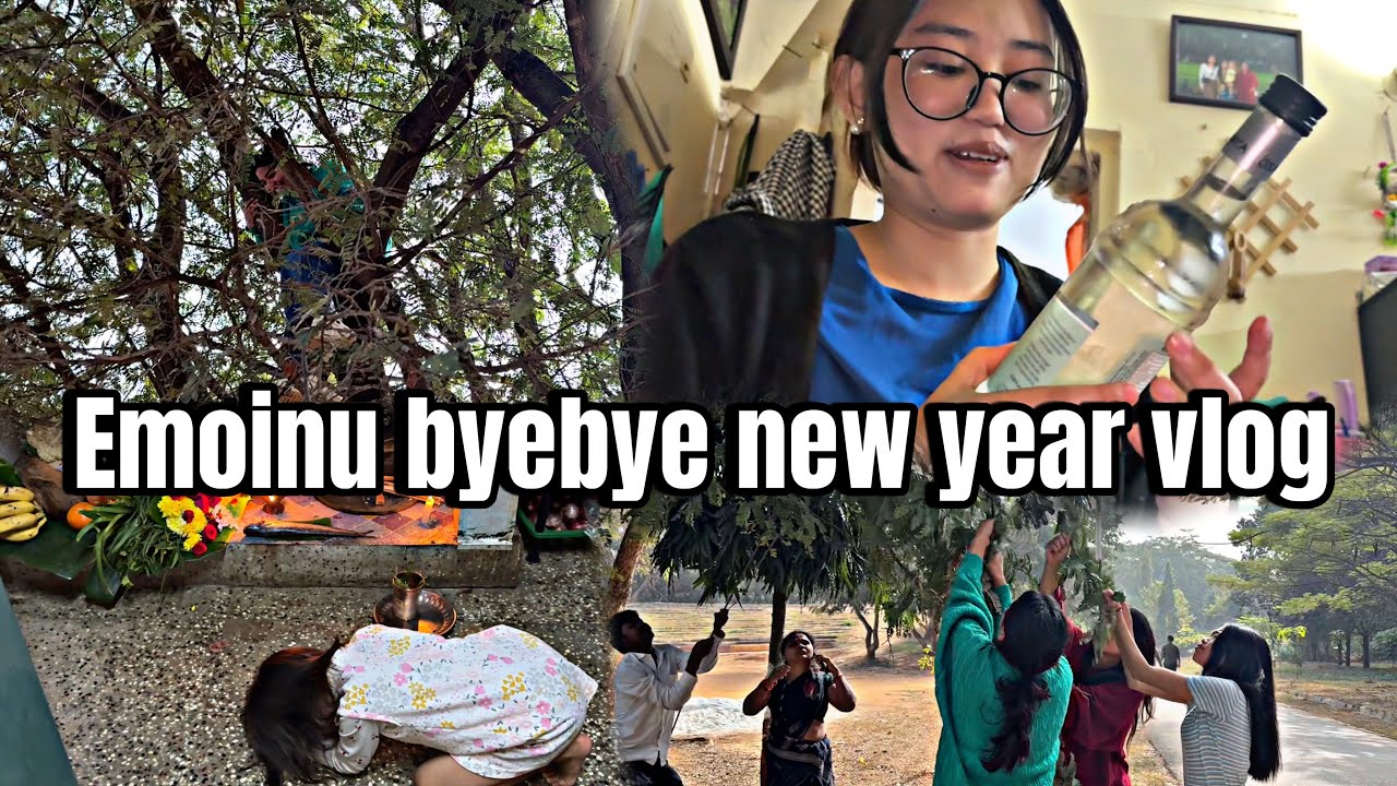 Emoinu byebye newyear vlog 🎥 || Моё первое видео к Новому году 2026 || С Новым годом, Майам😊