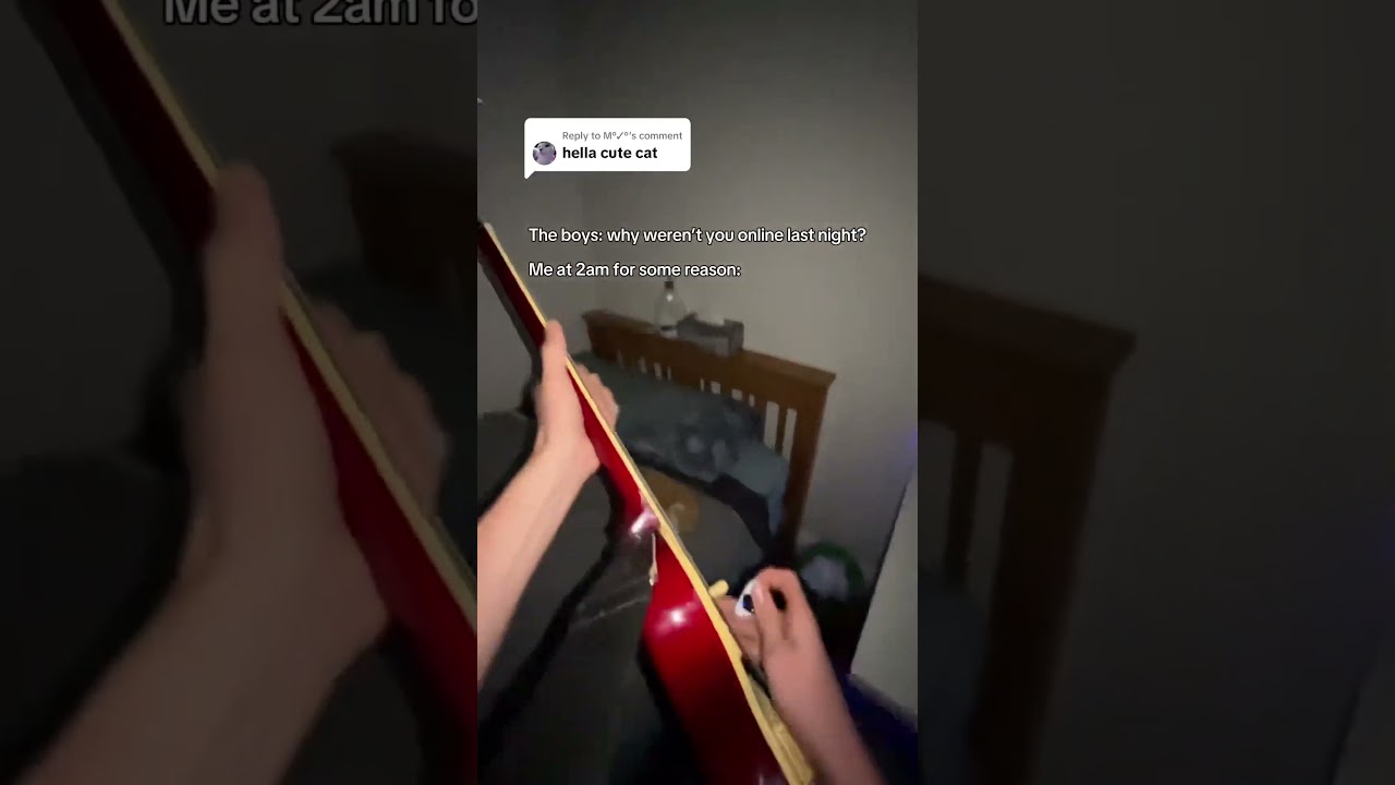 bros got priorities 😭 #fyp #guitar #electricguitar #3am