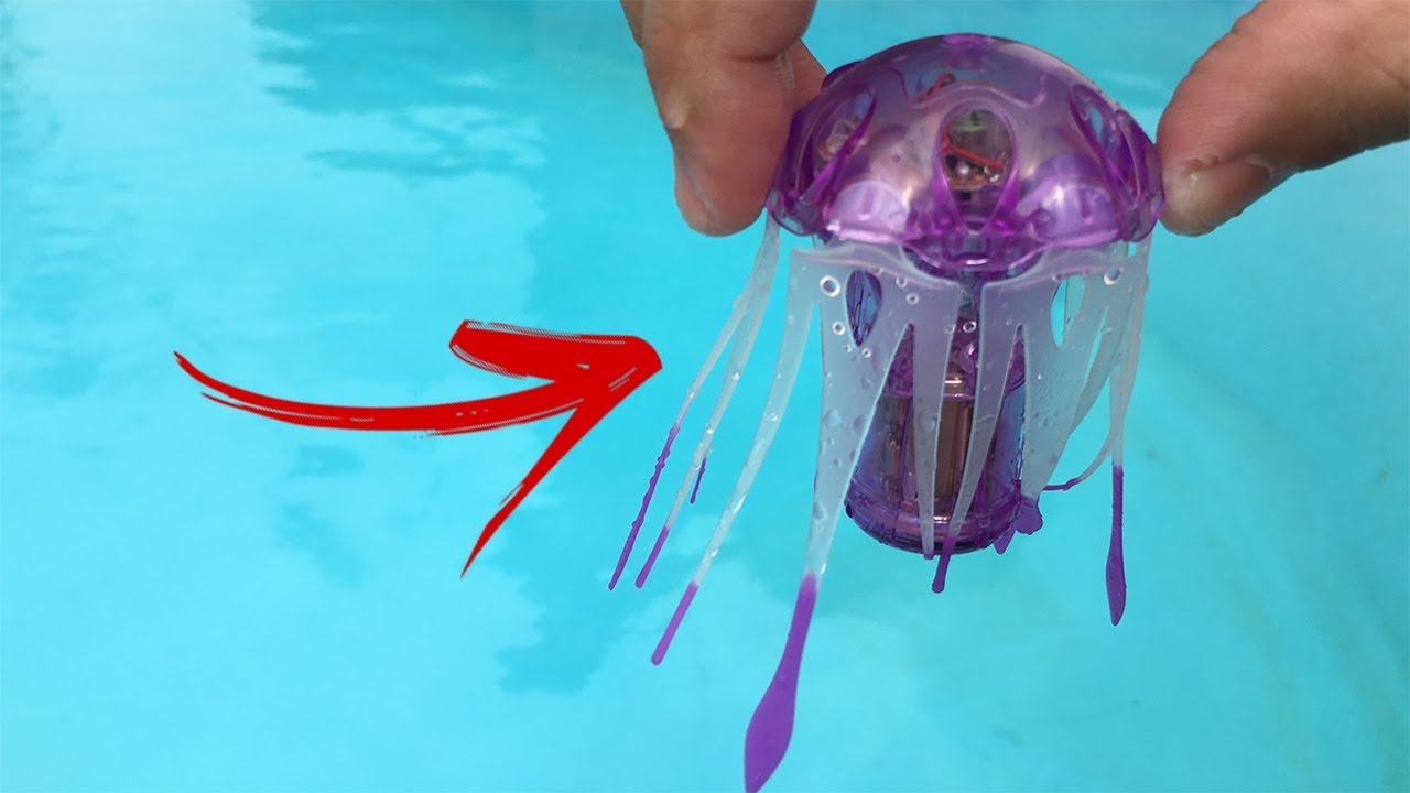 COMPREI UMA ÁGUA-VIVA ROBÔ E COLOQUEI NA PISCINA. OLHA COMO ELA NADA!!
