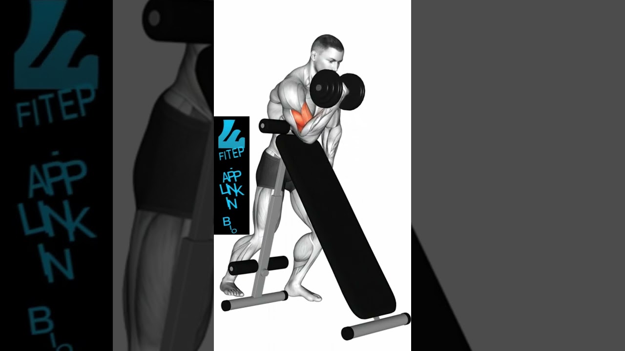 Bizeps Workout NUR mit Kurzhanteln - Bizeps Training #bizeps  #trainingstipps #trainingsplan