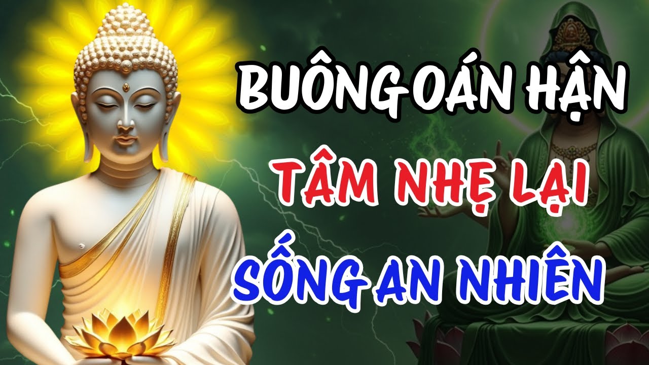 Lời Phật Dạy Về Nhân Quả – Không Ai Làm Khổ Ta Ngoài Chính Tâm Mình | Buông Oán Hận Để Được An Nhiên