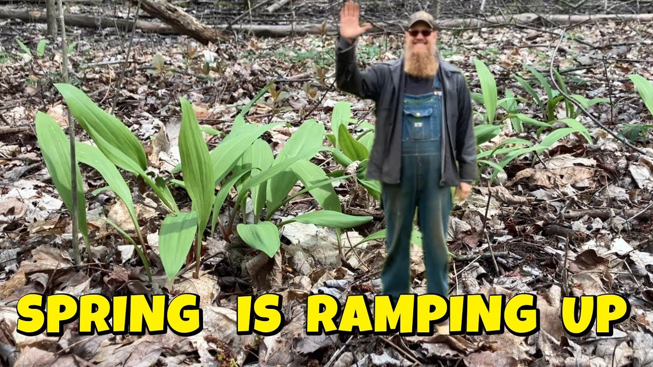 Propagating Ramps from Seed, a 2025 update.