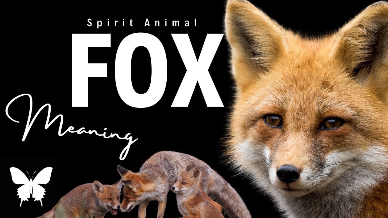 Fox Spirit Animal | Fox Spirit Guide | Fox Symbolism | Fox Totem