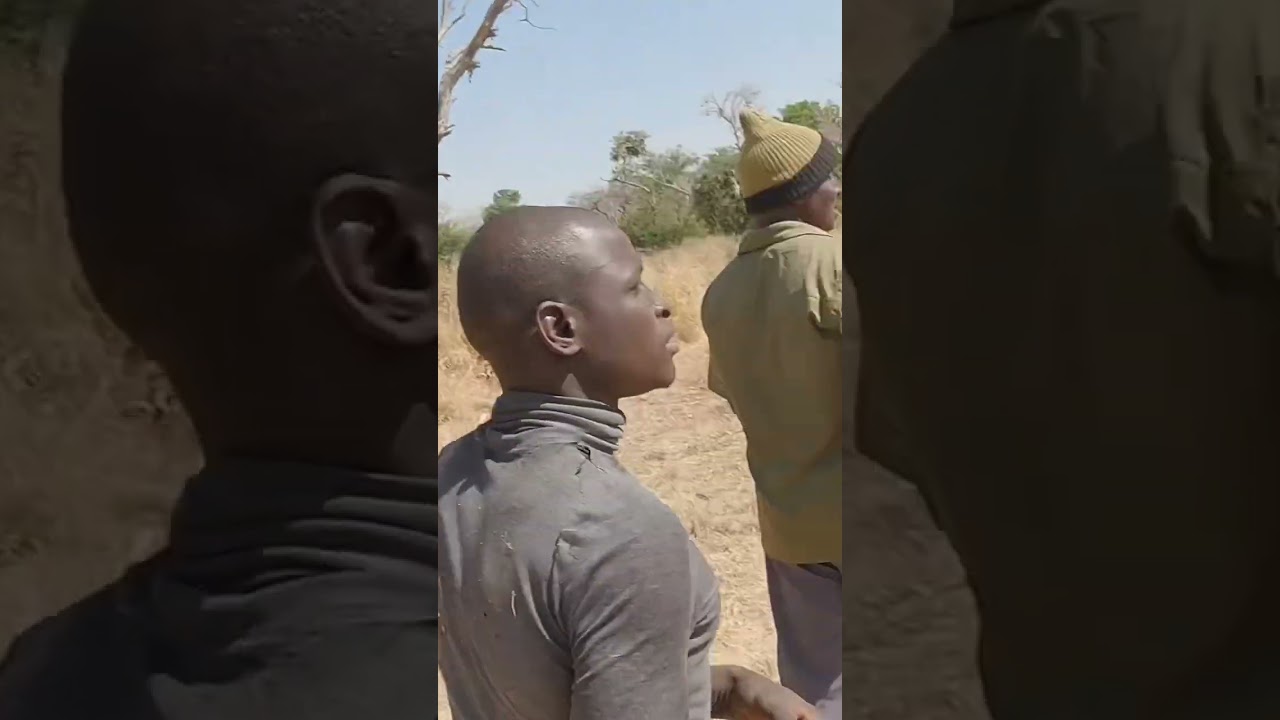 Safari on foot #travel #adventure #bigwillz #explore #nigeria #bauchi #namibia #africa