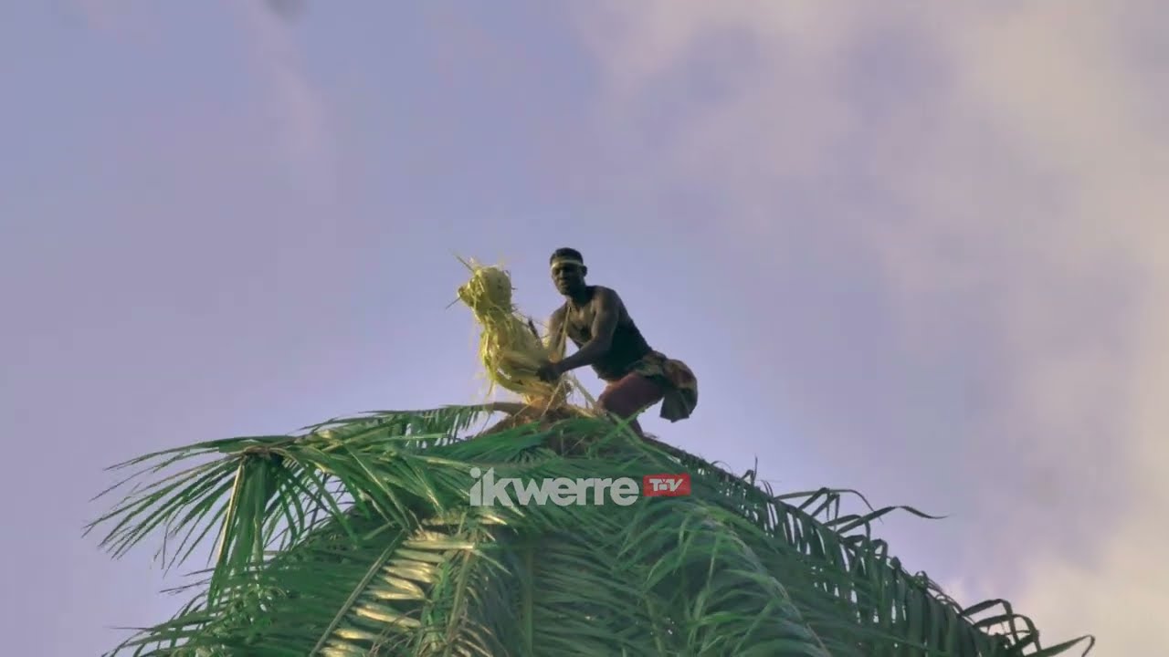 Inside the Powerful Manhood Rite of the Ikwerre People – Only Real Men Pass This Test!