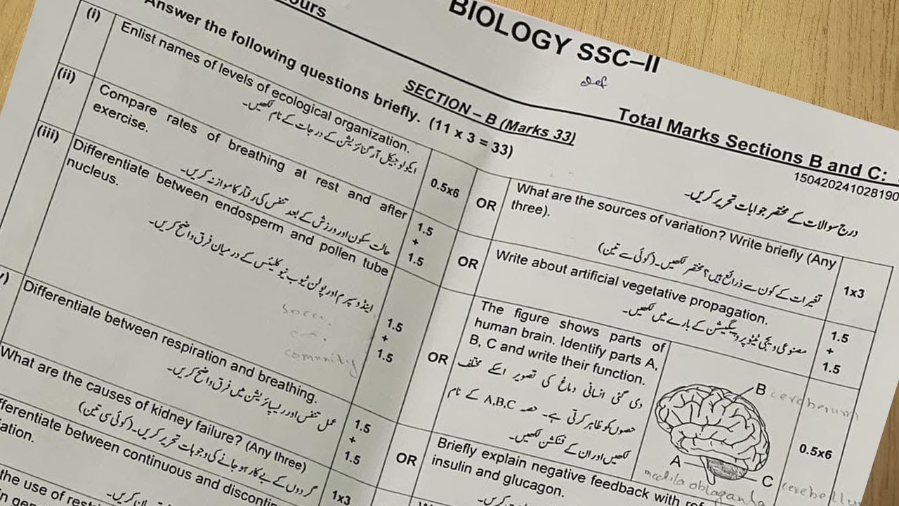 Biology 10  Annual Paper 2024 A| Federal Board