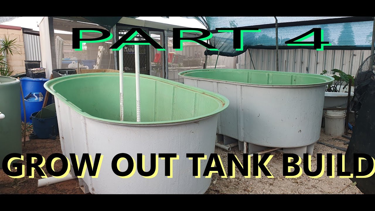 Part 4. Goldfish Fingerling Grow Out Tank Build