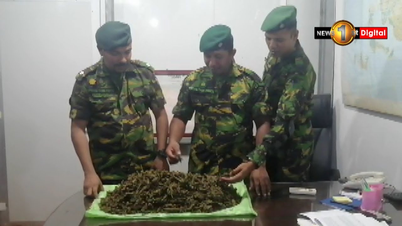 Suspect with 2.9 Kg of Kerala Cannabis arrested in Ilavalai