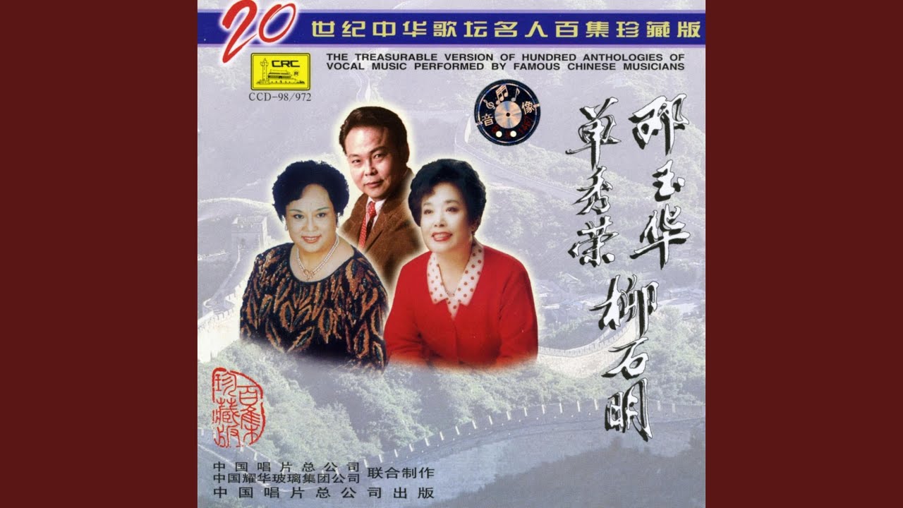 My Youth Flew Away Like a Bird (Wo De Qing Chun Xiao Niao Yi Yang Bu Hui Lai)