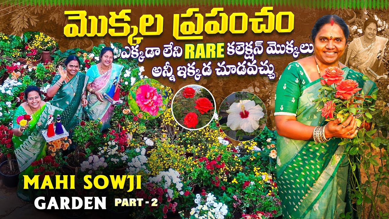 ఇంత Rare కలెక్షన్ ఎక్కడా లేదు|Rare collection of mahi sowji garden