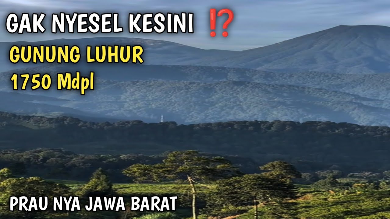 PENDAKIAN GUNUNG LUHUR PANCAWANGI SUKAMAKMUR 1750 MDPL || Prau nya Bogor