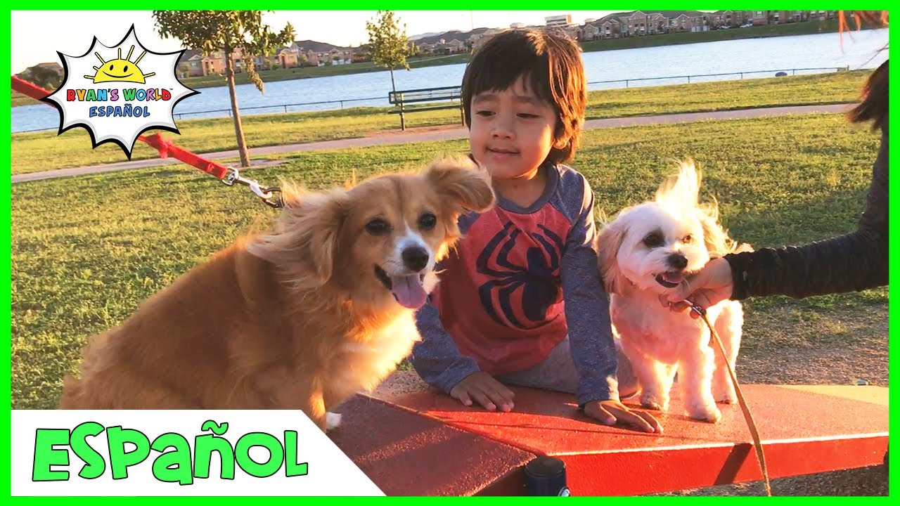 Los niños juegan en el parque infantil y en el parque para perros con Ryan's World