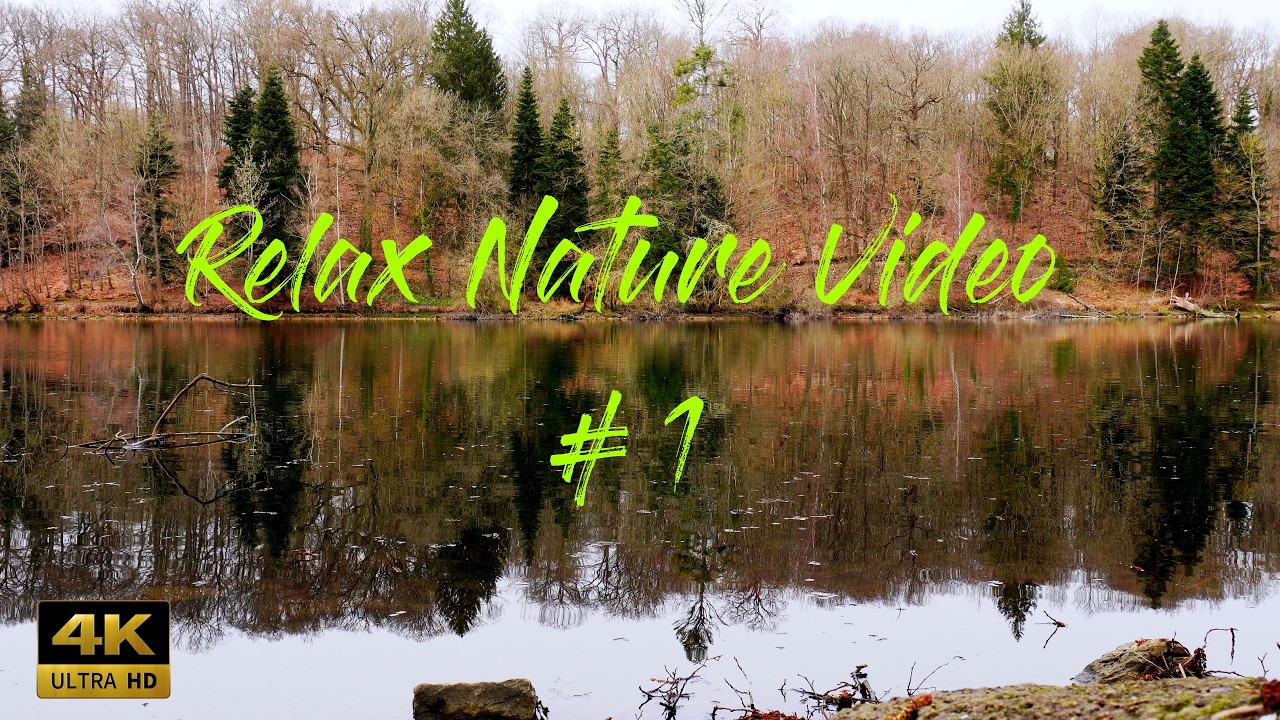 SONS DE NATURE RELAXANTS (MULTI PLAN) #1