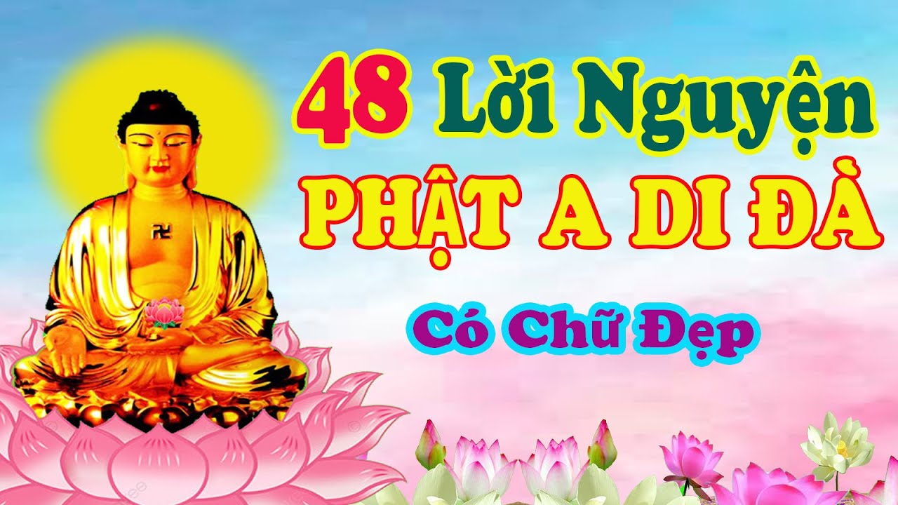 48 LỜI NGUYỆN PHẬT A DI Đ&Agrave; ( c&oacute; chữ ) TT Th&iacute;ch Tr&iacute; Tho&aacute;t  đọc tụng