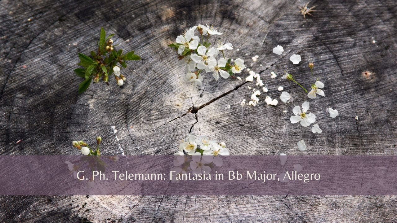 Telemann Fantasia in Bb, Allegro