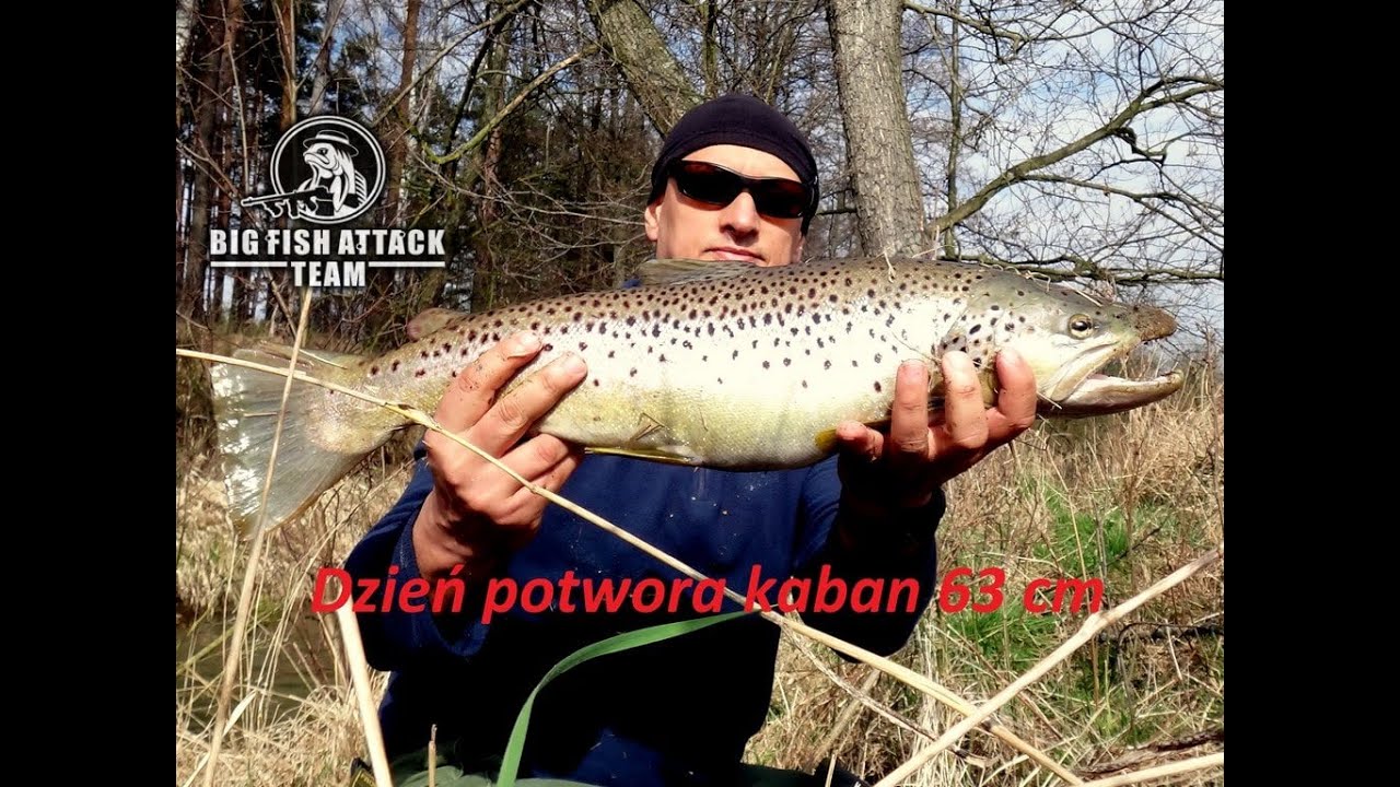 Na Pstrągi !!! Odcinek 4 ( Dzień Potwora- Pstrąg potokowy 63 cm )